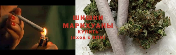 дживик Осташков