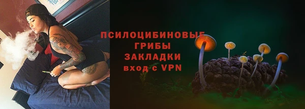 дживик Осташков