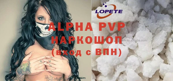 дживик Осташков