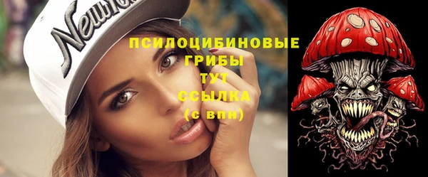 дживик Осташков