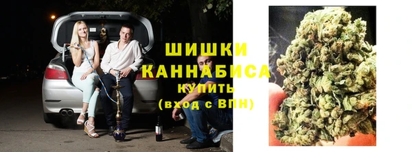 дживик Осташков