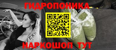 Альфа ПВП Вышний Волочёк