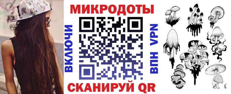 omg как зайти Курск Галлюциногенные грибы Psilocybe