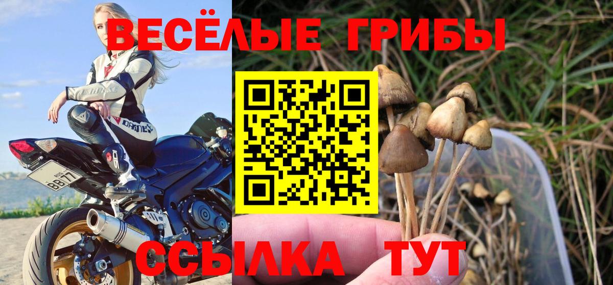 Псилоцибиновые грибы Psilocybe  Псилоцибиновые грибы Cubensis  Вход с VPN  Курск 