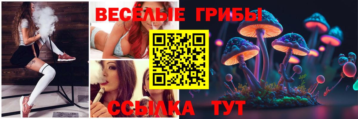 Псилоцибиновые грибы прущие грибы Курск