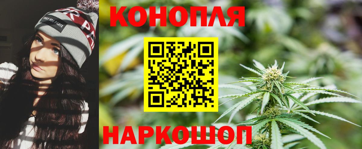 Канабис конопля Курск